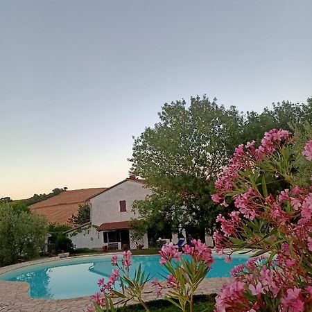 Agriturismo La Locandiera Монтемерано Экстерьер фото
