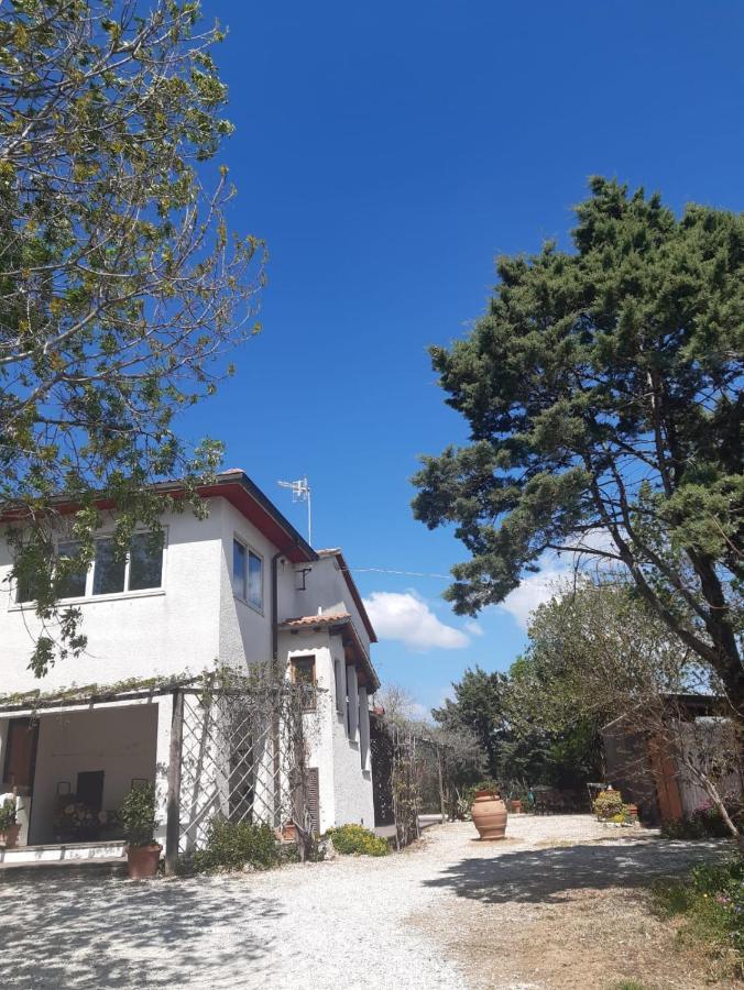 Agriturismo La Locandiera Монтемерано Экстерьер фото