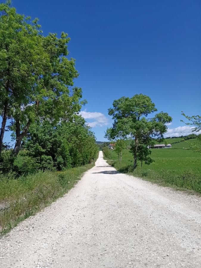 Agriturismo La Locandiera Монтемерано Экстерьер фото