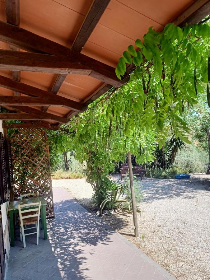 Agriturismo La Locandiera Монтемерано Экстерьер фото