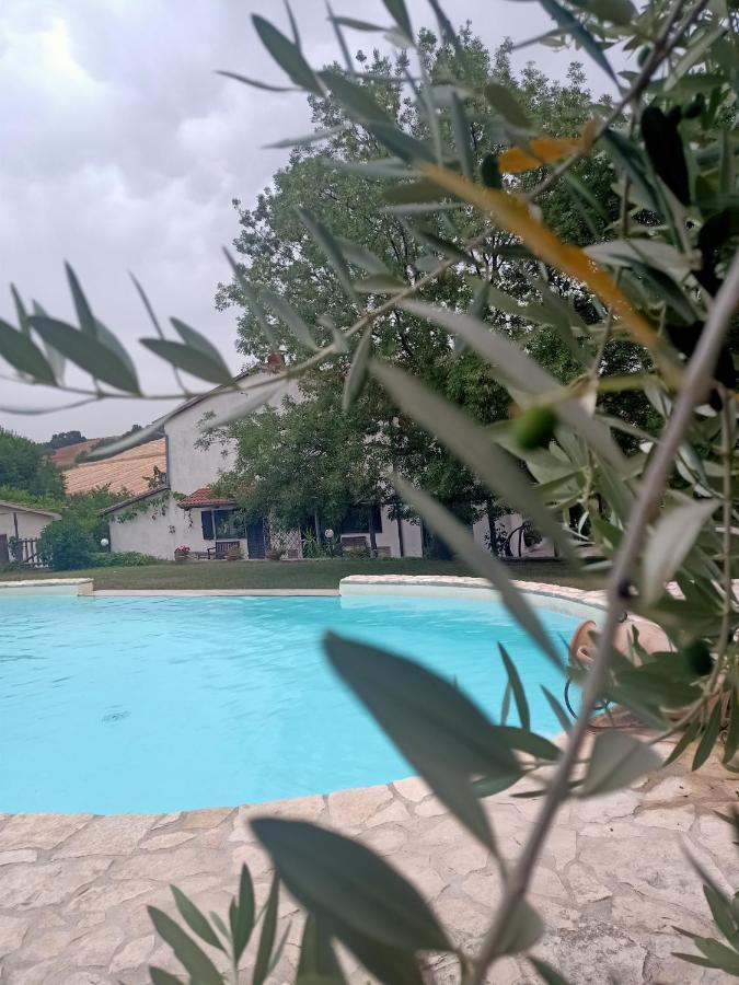 Agriturismo La Locandiera Монтемерано Экстерьер фото