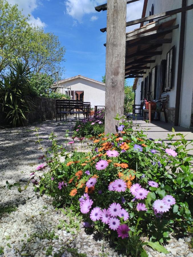 Agriturismo La Locandiera Монтемерано Экстерьер фото