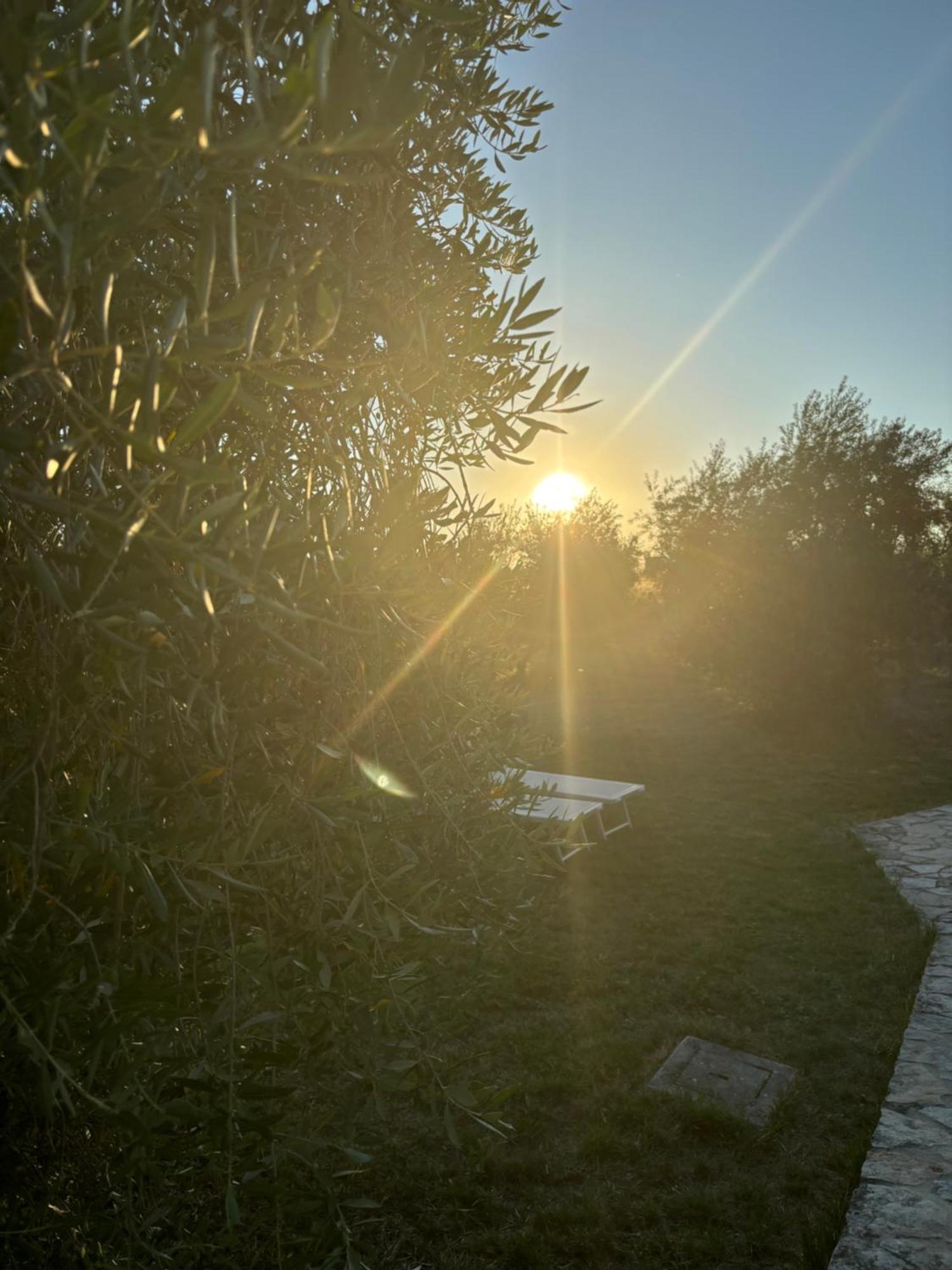 Agriturismo La Locandiera Монтемерано Экстерьер фото